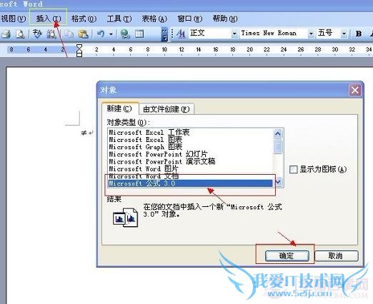 wordвMicrsoft ʽ3.0
