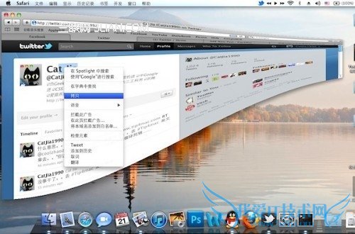 OS Xڵ淨:ͣס 