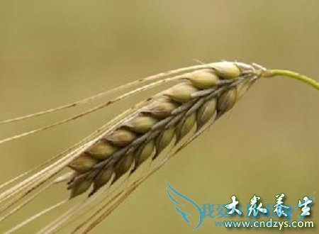 ļʳݺӵӪ--Bά(2)