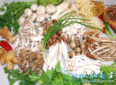 ļʳݺӵӪ--Bά(5)