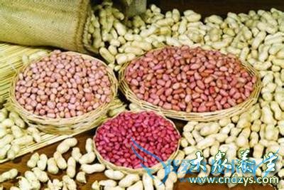 ʮʳѸٽѪ֬!ȳԵĽѪ֬ҩﻹҪ(8)