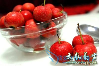 ʮʳѸٽѪ֬!ȳԵĽѪ֬ҩﻹҪ(9)