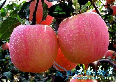 ����Щˮ����������������� (8)