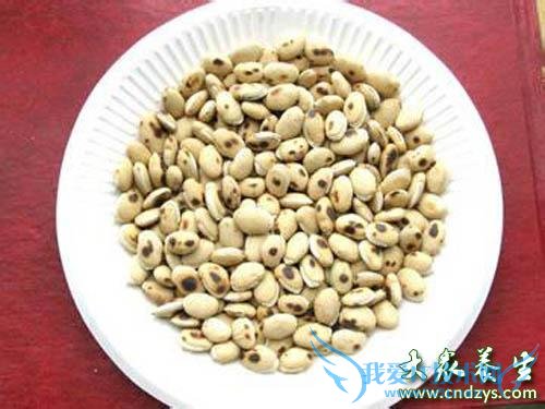 ƢʳЩ12ֽƲƢʳƼ(5)