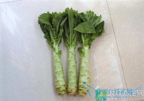 ＾ÿȵ¸ΰ 3Ԥΰ(3)