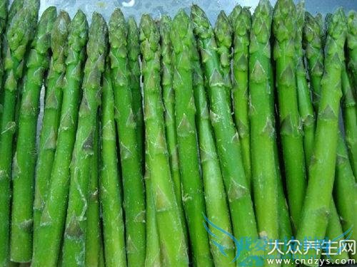 ＾ÿȵ¸ΰ 3Ԥΰ(5)