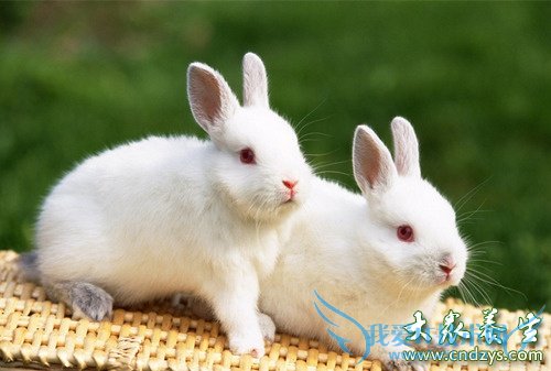 ಻ܳԵĲλʮ꼦ͷʤ˪   (5)