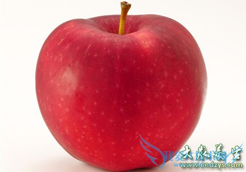 ÿһƻ ЧԤ10ֳ  (1)