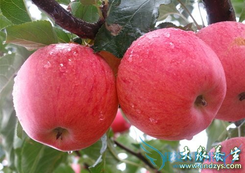 ÿһƻ ЧԤ10ֳ  (6)