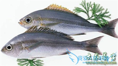 СĳԽ! 嶾ʳѭ7׼(6)