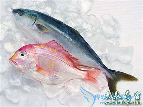 СĳԽ! 嶾ʳѭ7׼(5)