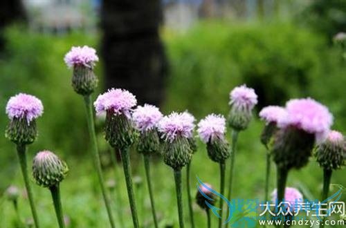 ѹӢʳƷѹӢ˿ⶾ(9)