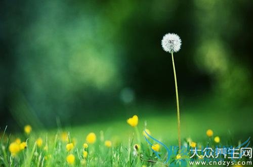 ѹӢʳƷѹӢ˿ⶾ(3)