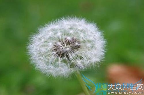 ѹӢʳƷѹӢ˿ⶾ(7)