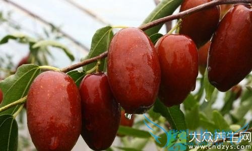 Ů˯ˮƢ Ƣʲôأ(6)