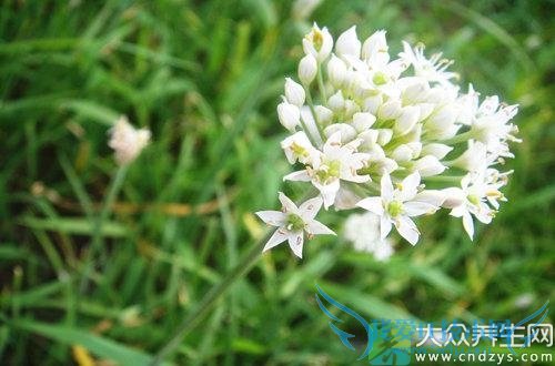 ²θ״ ̵²˵26ֱЧ(7)