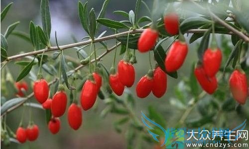 ǧܳԣȾɫ轵ߴУ(5)