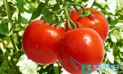 ڻƺְ߶࣬ηʳ(2)