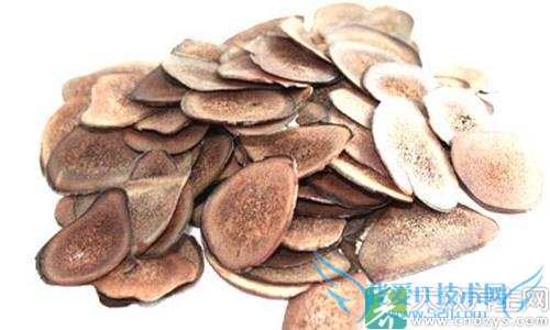 Щ˲ܳ¹ ?̵¹׵ʳý!(1)