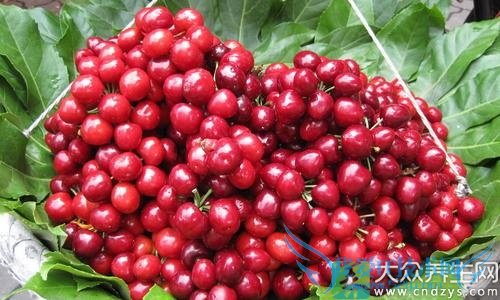 Ѫǳʲôˮã ӣƻã(5)