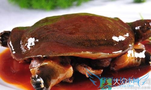 ʹʵŮҪѧϰҽʳƣ(5)