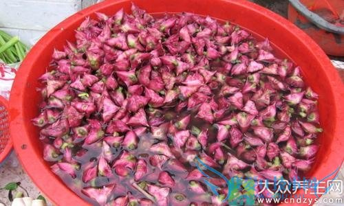 ˮĹЧ ŴŴɽƢθֿ(5)