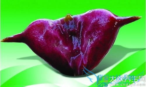 ˮĹЧ ŴŴɽƢθֿ(4)