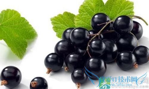 ŮԲ10ֺɫʳЧѣ(3)