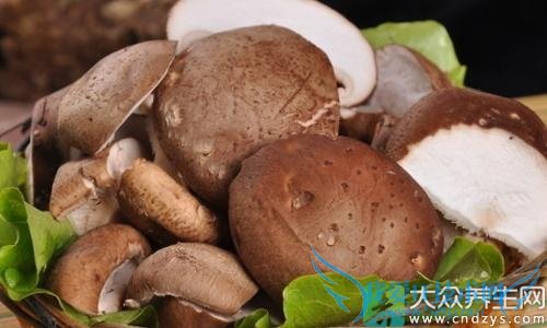 Ѫô죿 ̵㲹ĺʳ(6)