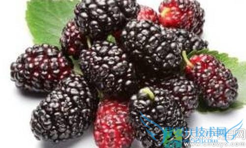 ̵ʮʳӪ࣡(5)