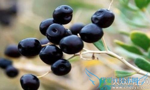 Щ˲ʺϳԺ轣֪˳Եĸ(1)