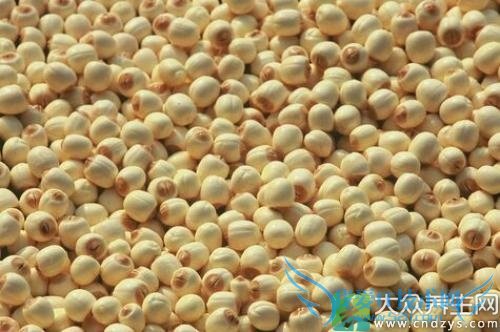 �������Ӹ���Ч��ʲô