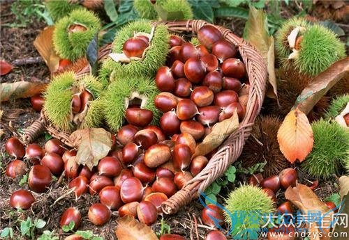 ������ù���ܳ���