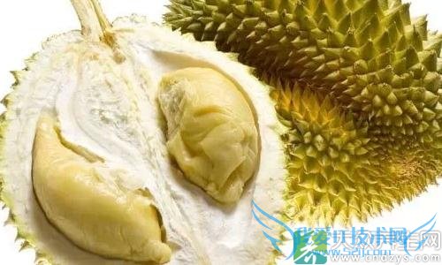 Ů��Ӧ�ö�����ŵ�ʳ��!(1)