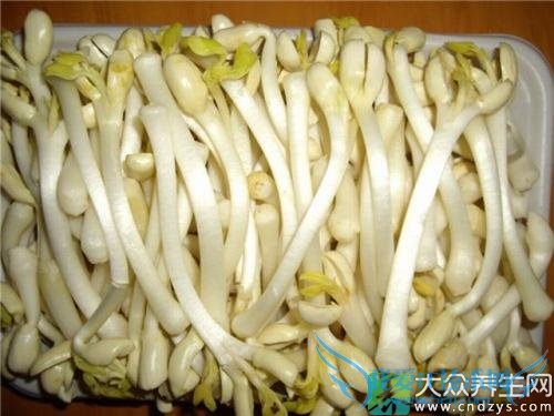 �������ܳ���