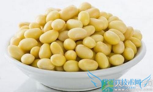 ���ݶ���Ӫ���������벻����(4)