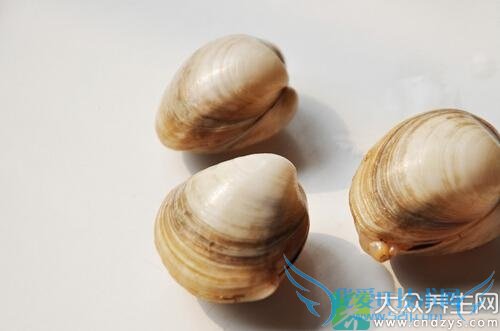 ����������������Ƽ�