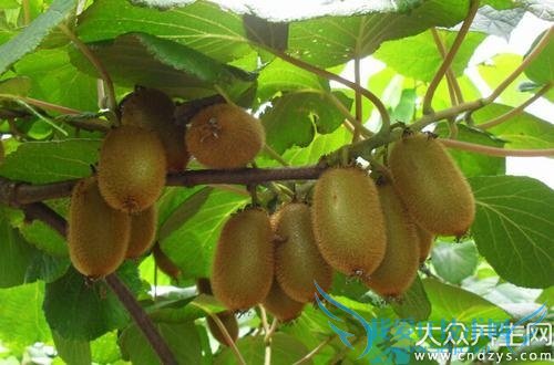 ��⨺�����ʲô�ô��ͻ����أ�