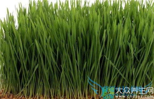 С��ݵĳԷ���ʲô