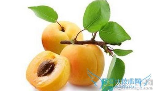 ����Ƥ���ֲڳ�ʲô�ã���Щʳ����ѣ�(4)