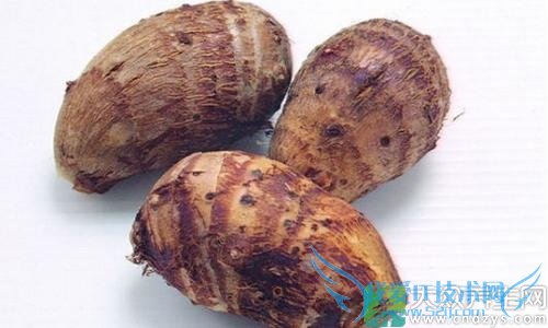 ����Ƥ���ֲڳ�ʲô�ã���Щʳ����ѣ�(1)