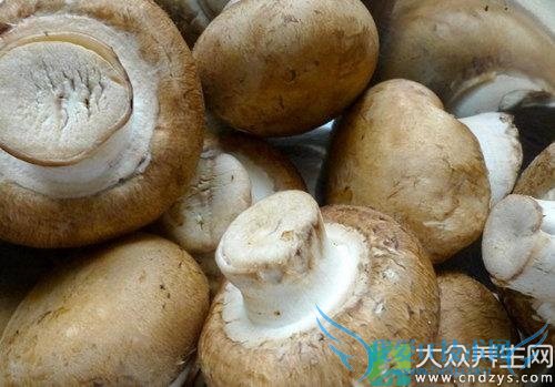 �㹽��ҩ�ü�ֵ����Щ