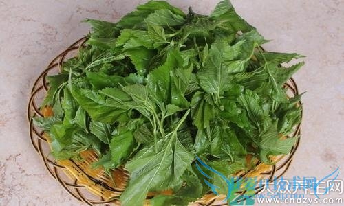 ɣҶ��Ѫ�ǵĻ�����ʳ�Ʒ�(1)