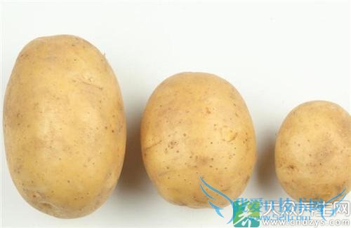 �����ĺܶ��ֳԷ���ʲô