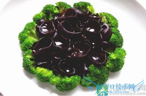 �����˿����ϵ�ʳ����ʲô��