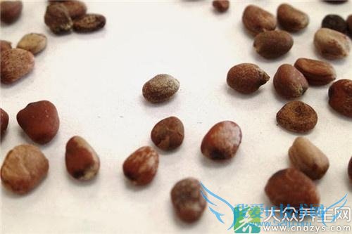 �ܲ��ѵ���������Щ