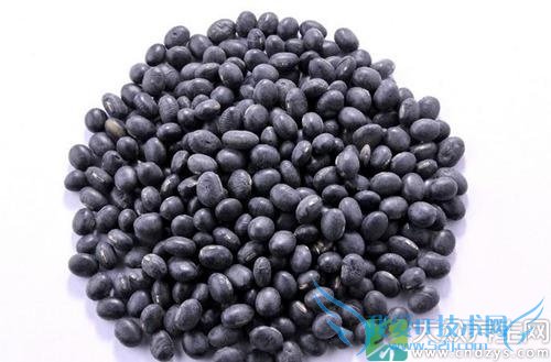 �ڶ����������ʲô