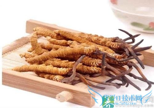 �����Ĳݳ���������