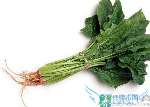 ������������������Щ