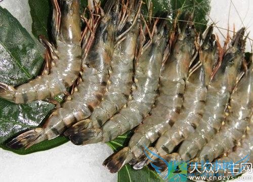 Ϻ���㹽�ܲ���һ���